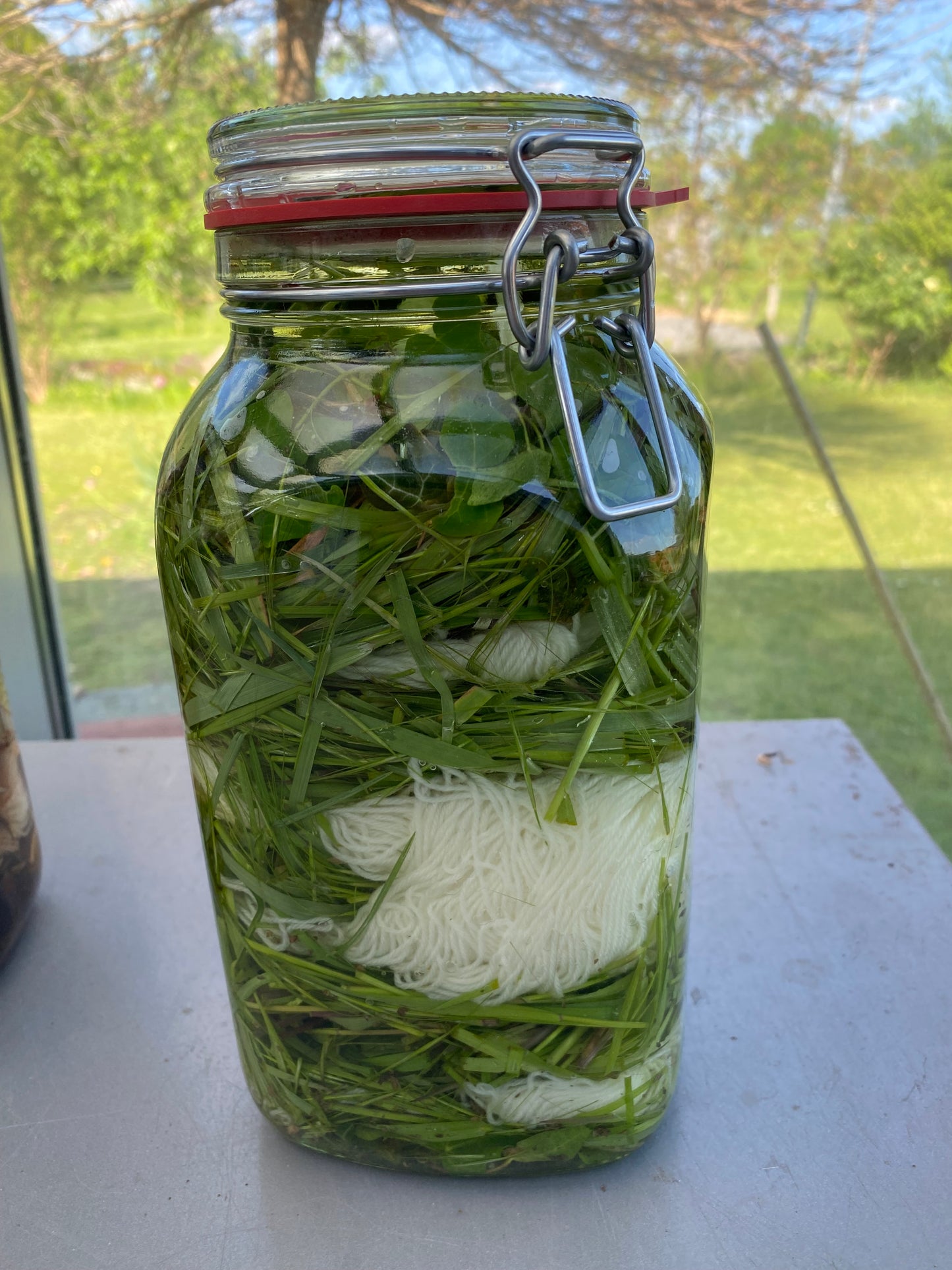 Bambus Sockenwolle 4fädig - 🍃 Gras – wo Stille wächst