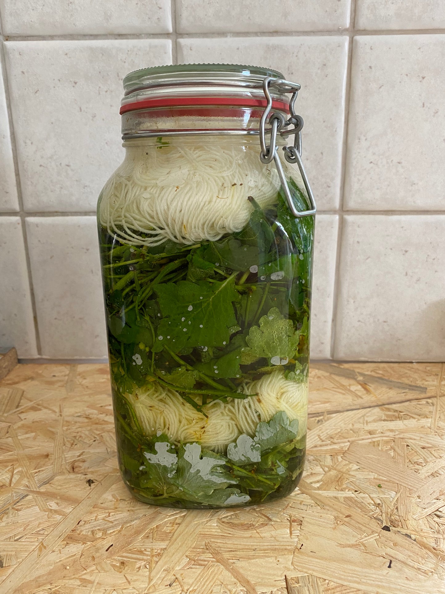 Bambus Sockenwolle 4fädig - 🌼 Brennnessel – das Licht im Blatt